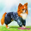 Дождевик для собак ForMyDods (для мальчика) - Одежда для собак, аксессуары, дождевики, корма, доставка!