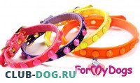 Ошейник ForMyDogs (Розовый) - Одежда для собак, аксессуары, дождевики, корма, доставка!