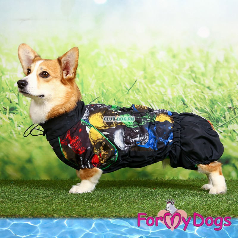 Дождевик для вельш корги ForMyDogs (для мальчика) - Одежда для собак,  аксессуары, дождевики, корма, доставка!