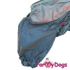 Дождевик ForMyDogs для Мопса, Француза ( для мальчика ) - Одежда для собак, аксессуары, дождевики, корма, доставка!