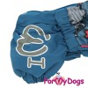 Дождевик  для таксы ForMyDogs (для  мальчика) - Одежда для собак, аксессуары, дождевики, корма, доставка!