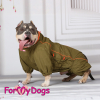 Комбинезон для  Американского БУЛЛИ ForMyDogs ( для мальчика) - Одежда для собак, аксессуары, дождевики, корма, доставка!