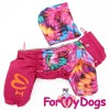 Дождевик для собак ForMyDods (для девочки) - Одежда для собак, аксессуары, дождевики, корма, доставка!