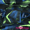 Утепленный дождевик для собак ForMyDogs (для мальчика) - Одежда для собак, аксессуары, дождевики, корма, доставка!