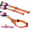 Ошейник - удавка ForMyDogs(оранжевый) - Одежда для собак, аксессуары, дождевики, корма, доставка!