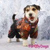 Демисезонный комбинезон для собак ForMyDogs (для мальчика) - Одежда для собак, аксессуары, дождевики, корма, доставка!