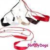 Выставочная ринговка ForMyDogs - Одежда для собак, аксессуары, дождевики, корма, доставка!