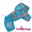 Дождевик для собак  ForMyDogs ( для мальчика) - Одежда для собак, аксессуары, дождевики, корма, доставка!