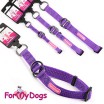 Ошейник - удавка ForMyDogs(фиолет) - Одежда для собак, аксессуары, дождевики, корма, доставка!