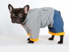 Одежда для Мопса, Француза - Одежда для собак, аксессуары, дождевики, корма, доставка!