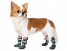 Обувь для собак - Одежда для собак, аксессуары, дождевики, корма, доставка!