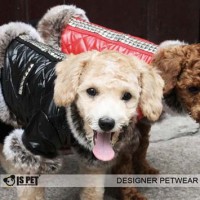 Поступление зимней коллекции в Club-dog - Одежда для собак, аксессуары, дождевики, корма, доставка!